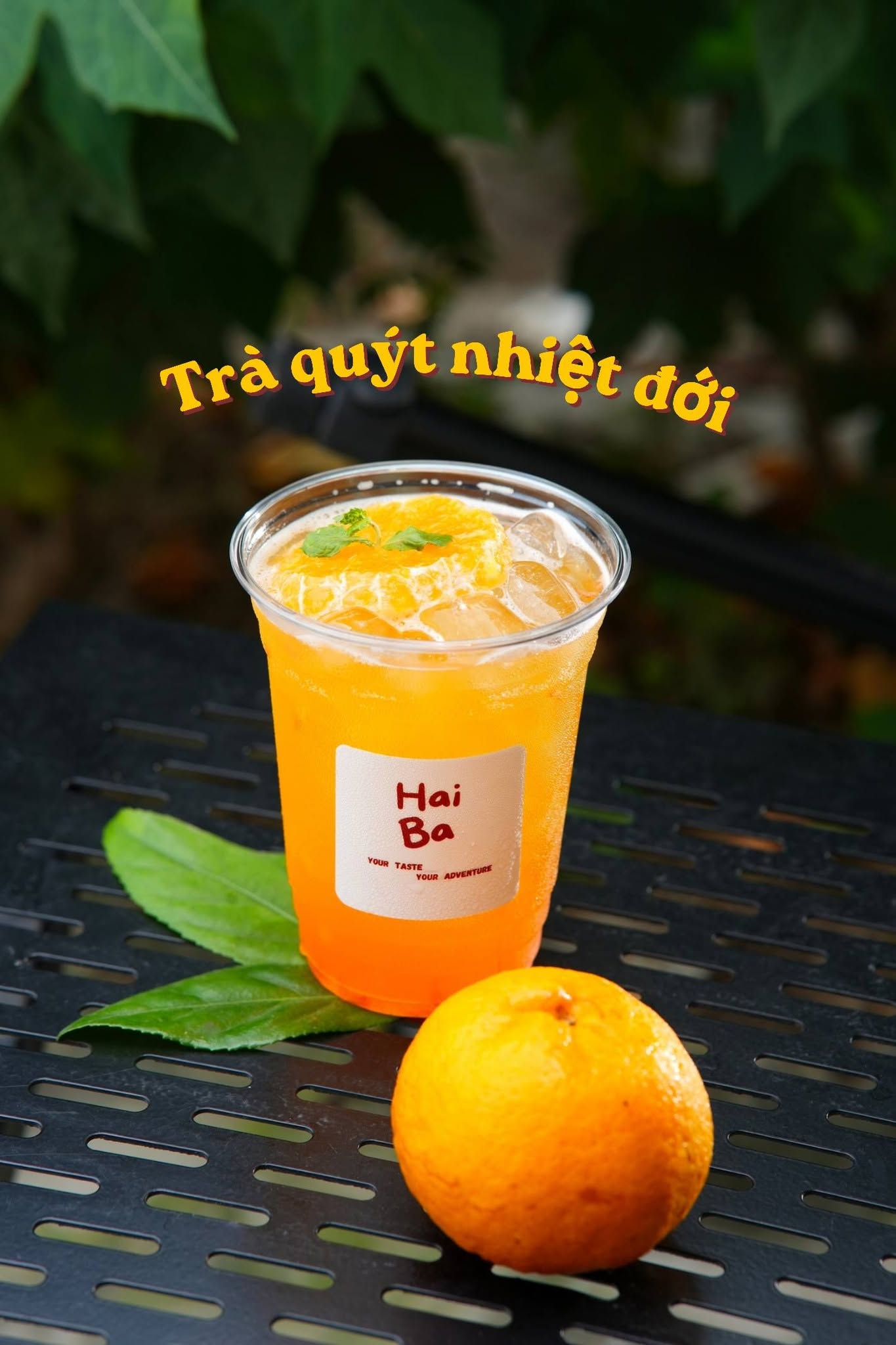 Trà Quýt Nhiệt Đới