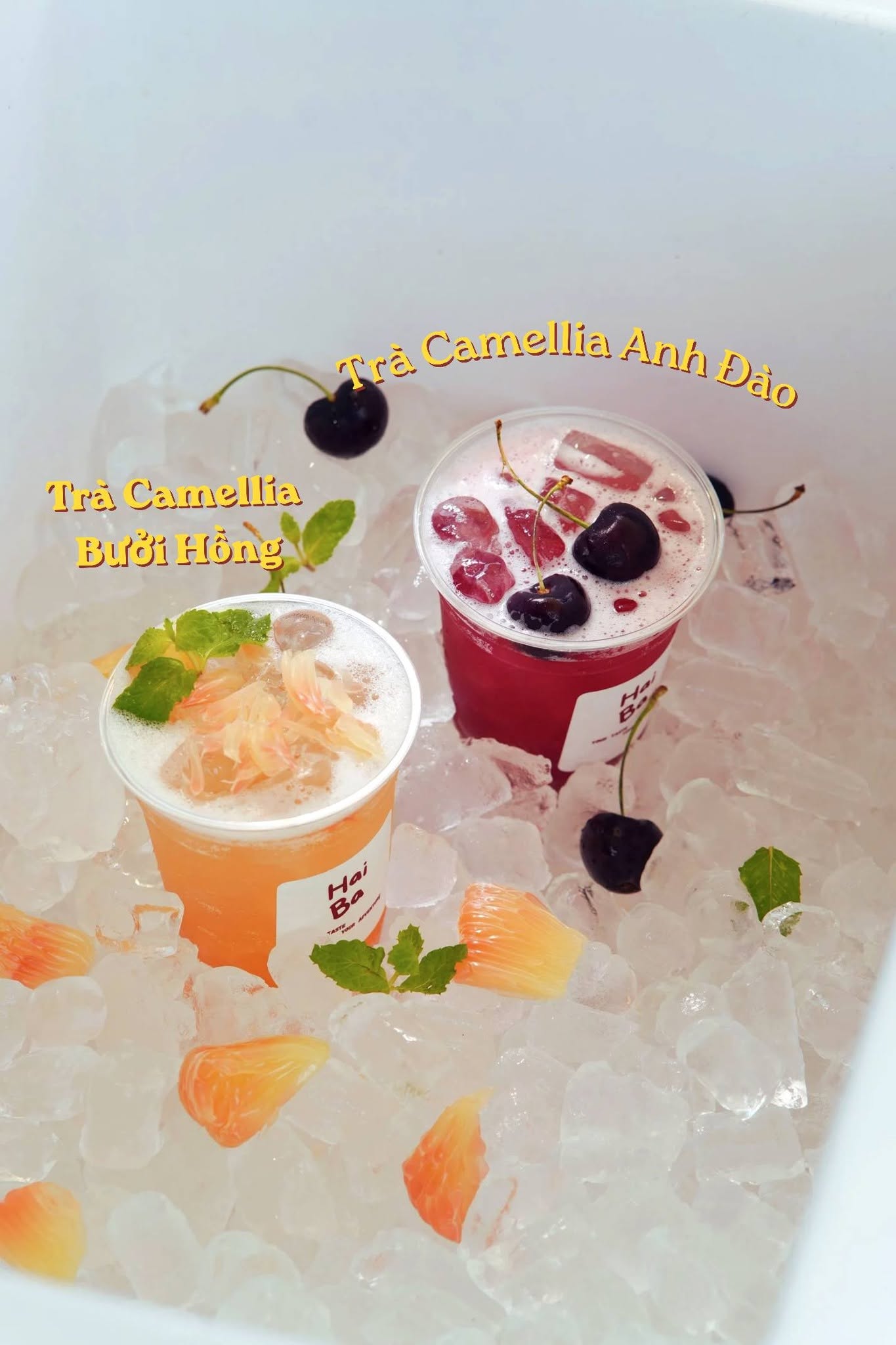Trà Camellia Anh Đào